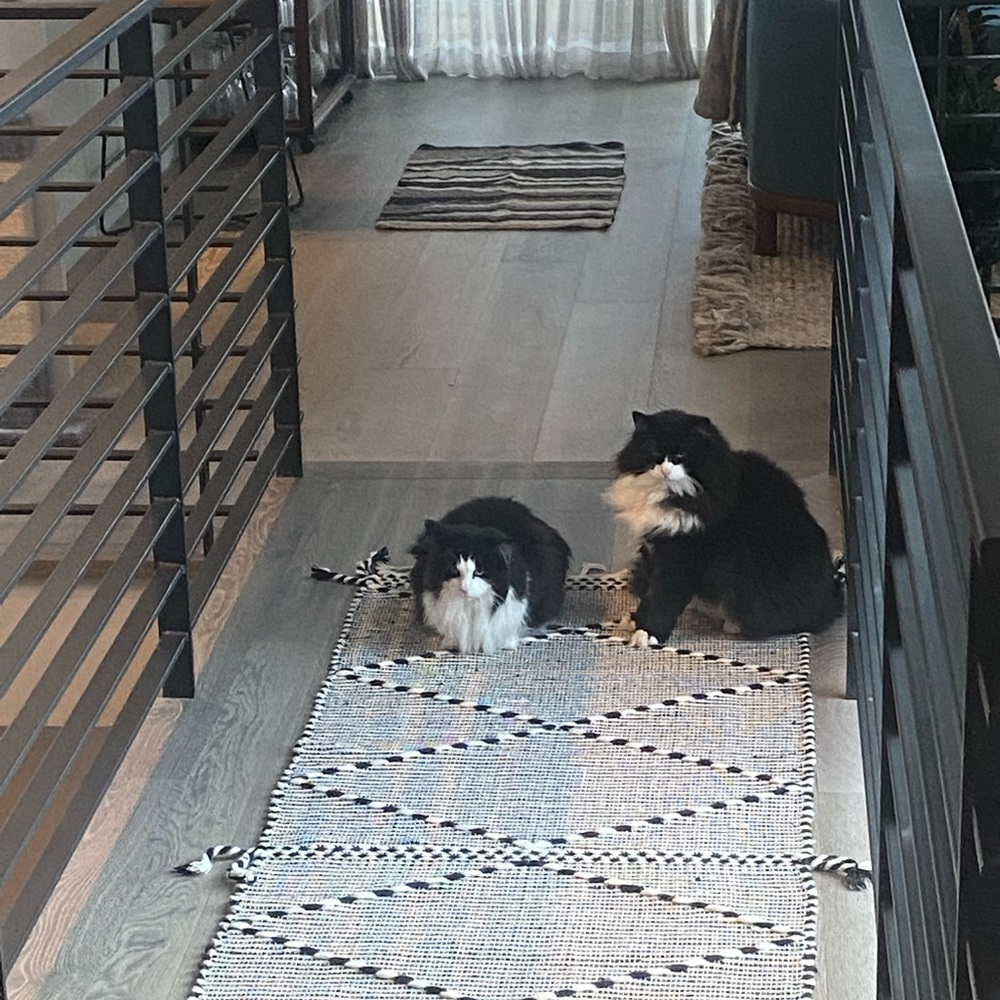 Meet your Posher, Albert